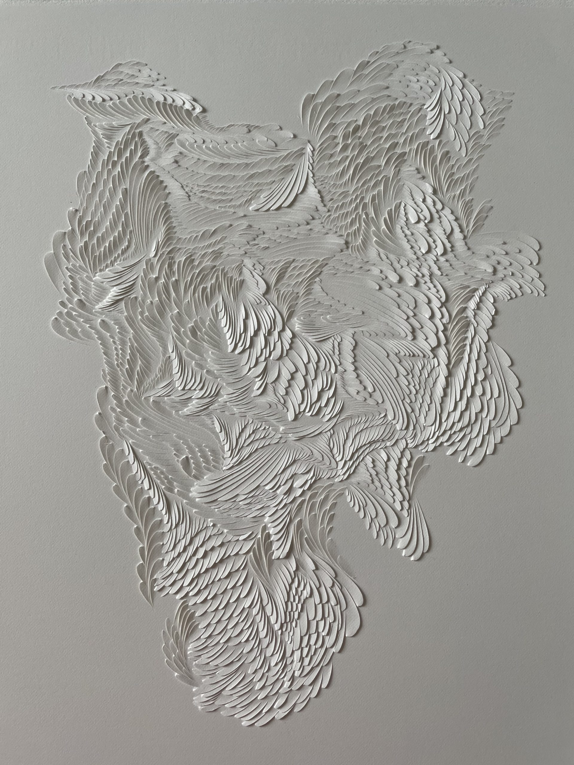 Animal skull | rytina na papieri, 35x28cm, 2021